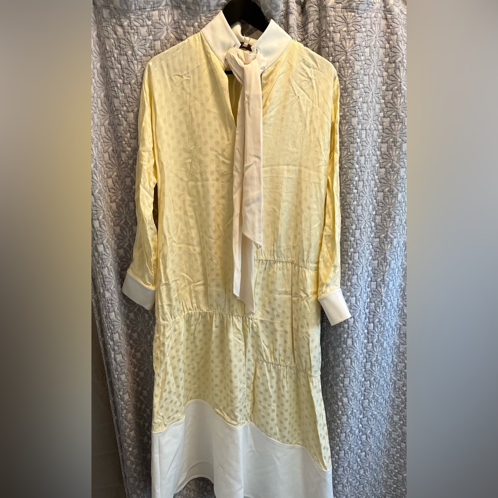 Tibi cream poka dot long dress